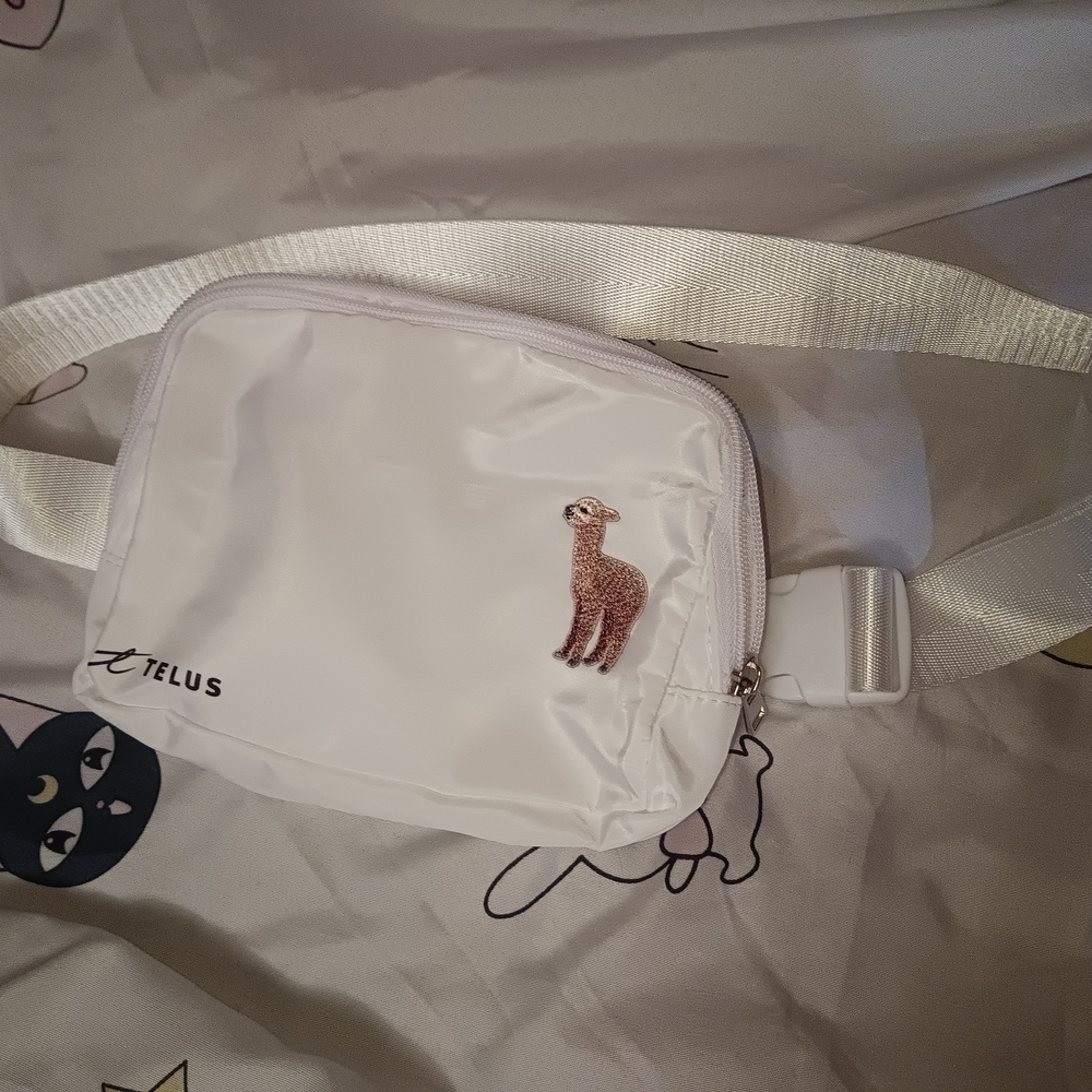 2/$15 - White Belt Bag | EUC